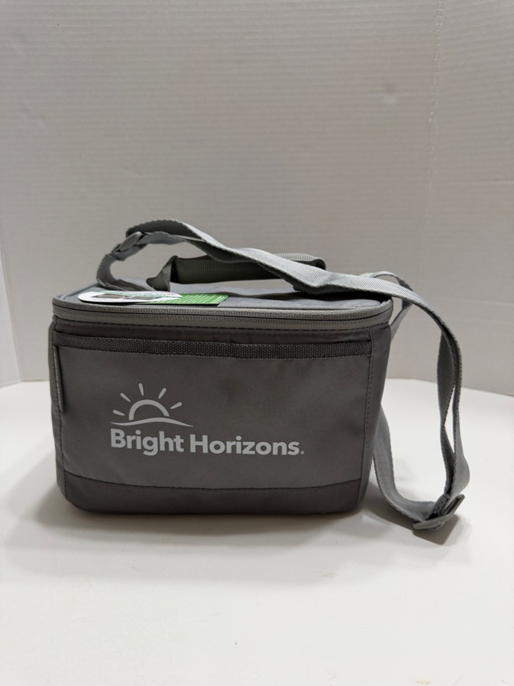 Bright Horizons Gray Men's Lunch Bag with Carry Strap